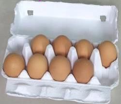 Egg Carton / Egg Box / Egg Packaging/Egg Container