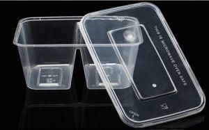 Disposable Food Container to-Go Box Lunch Box with 2 Compartment