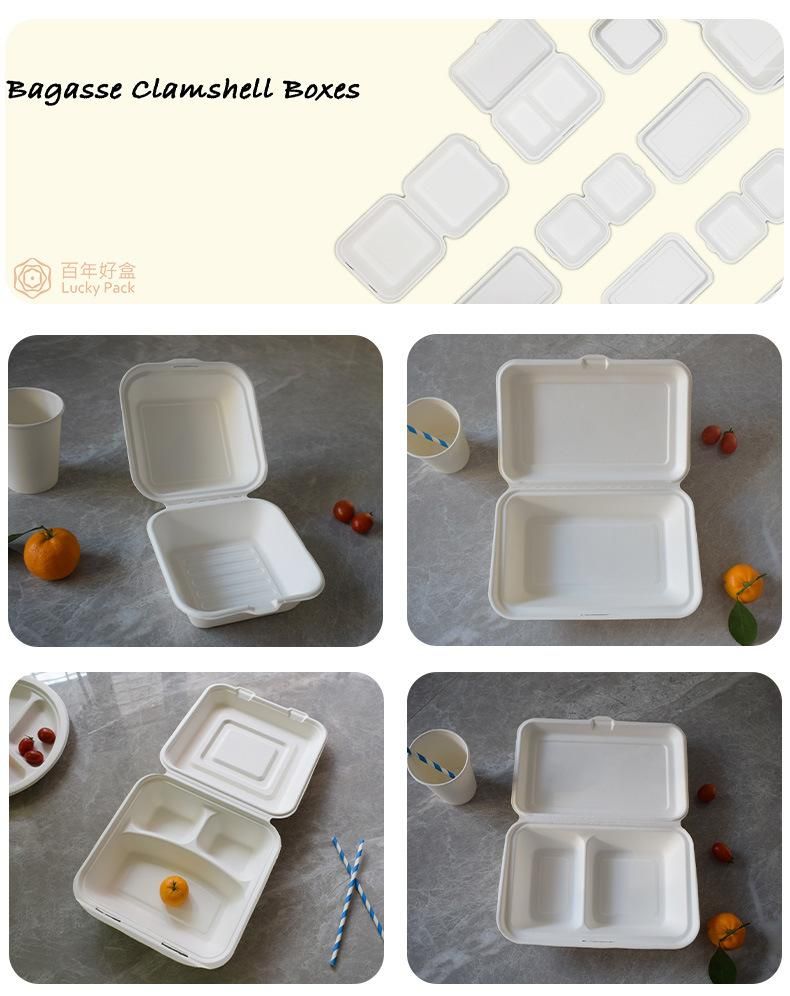 Disposable Biodegradable Bagasse Sugarcane Clamshell Box Food Packaging