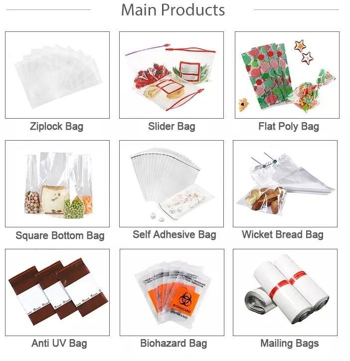 Plastic Mini Bags Apple Baggies PE Zipper Packaging with Designs Printing Manufacturer