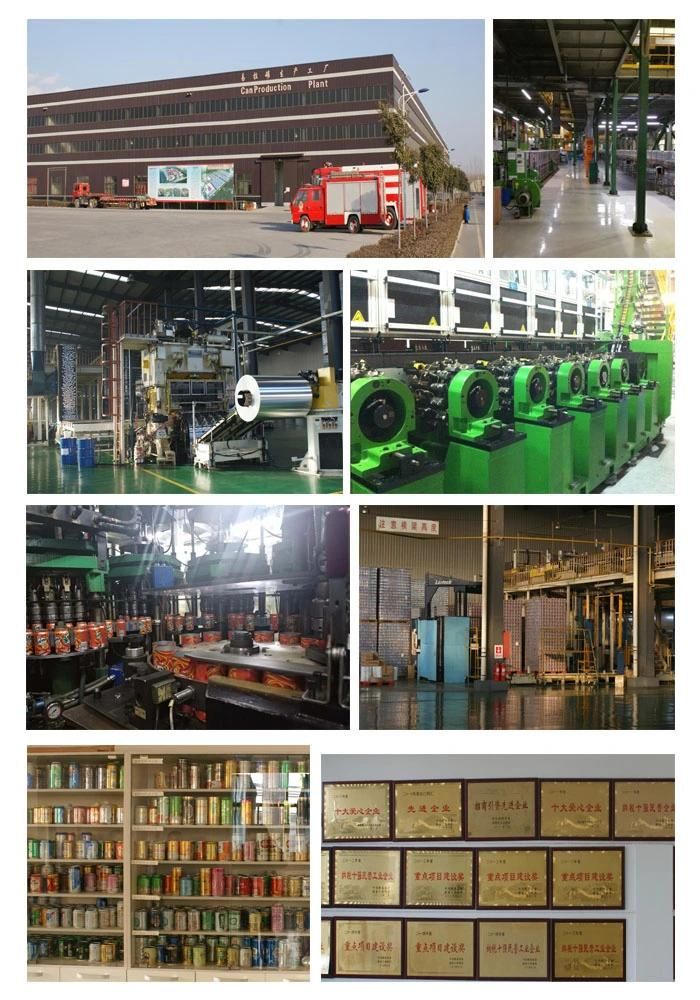 Factory of Aluminium Can 250ml From Erjin Can