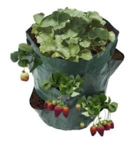Strawberry Planting Bag with Planter Pockets 5/7/10 Gallon with Handle Bolsa De Cultivo Vegetable Plants Garden Grow Bags