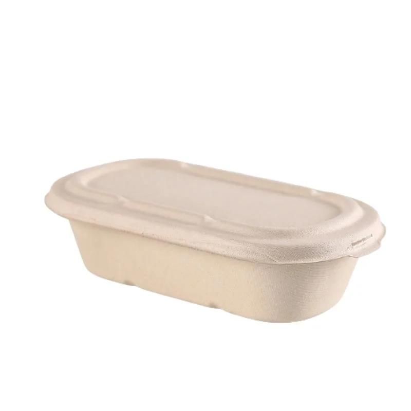 Biodegradable 500ml to 1000ml Food Packaging Lunch Box Set