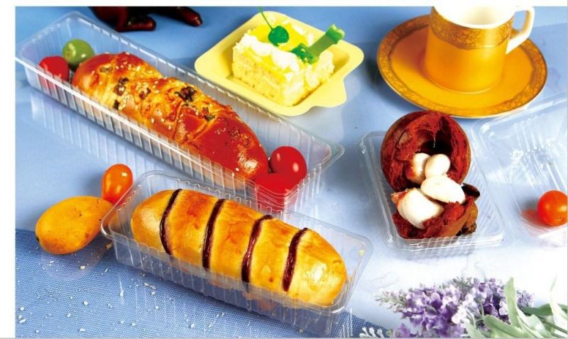 hot sale food grade PET blister tray food container for cake and snack