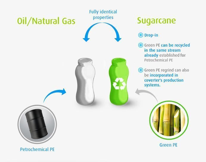 Green Polyethylene PE Sugarcane Plastic Cosmetic Cream/Gel/Serum/Sunscreen Body/Lipgloss/ Mascara/Eyelash/Eyeliner Packaging Skincare Cosmetic PE Soft Tube