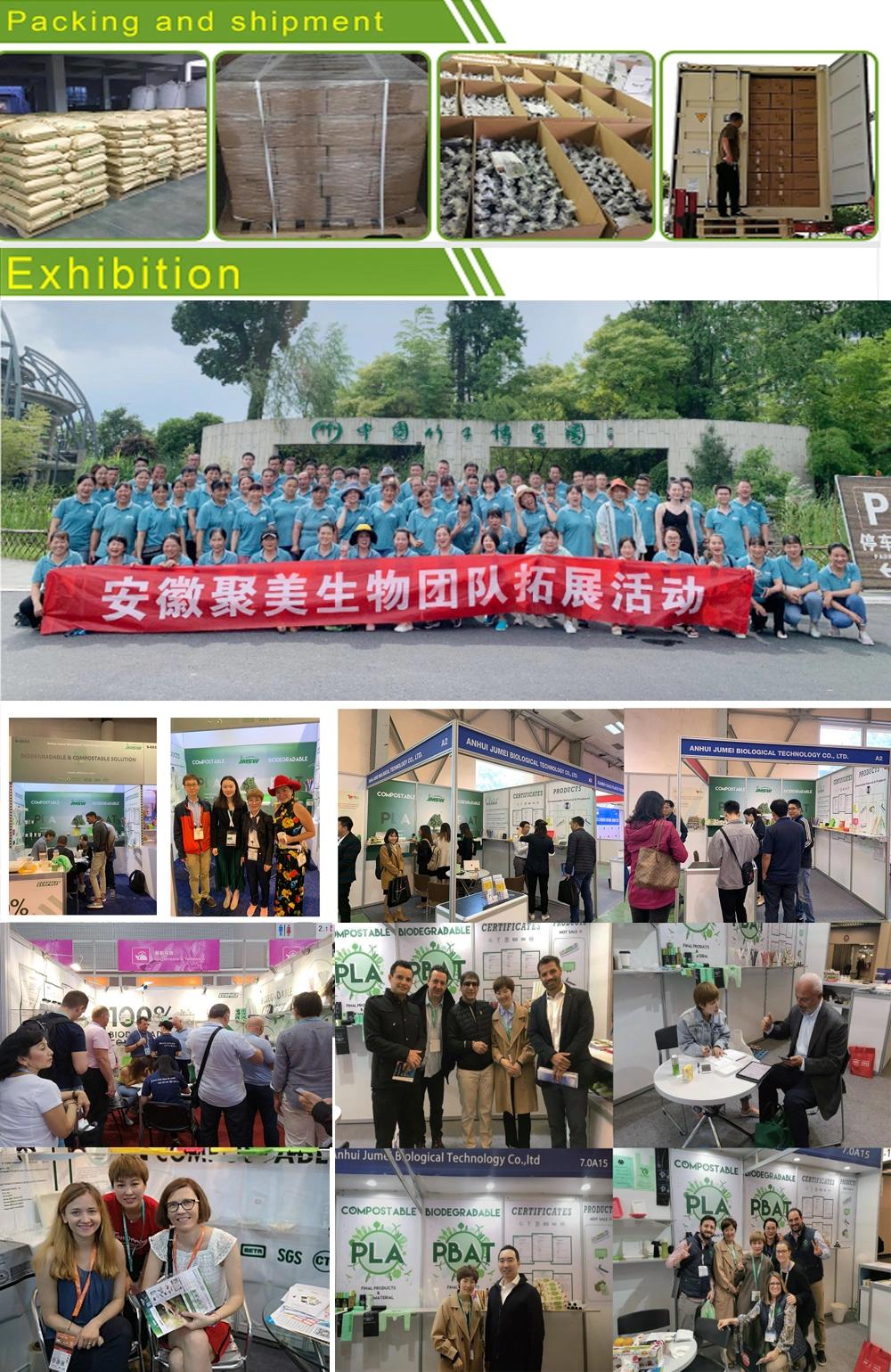 Biodegradable Garment Bags PLA Pbat Compostable Garment Packaging Bags