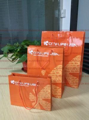 Art Paper Packaging Bag with Logo for Clothing/Gift/Shoes/Jewelry/Festival