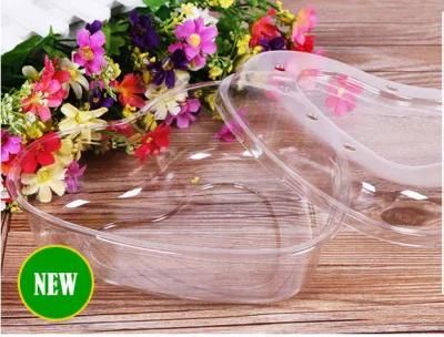 Packaging fresh fruit PET disposable tray transparent food grade fruit plastic box with lid