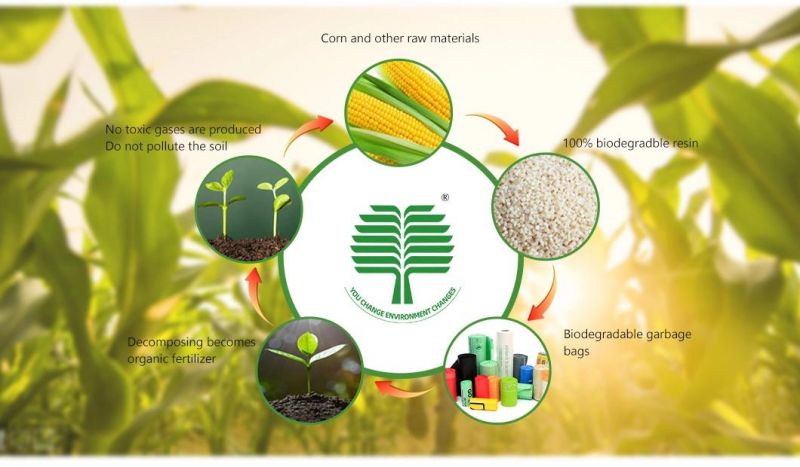 PLA+Pbat/Pbat+Corn Starch Biodegradable Bags, Compostable Bags, Supermarket Bags for School