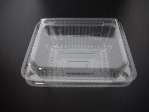 Factory Manufacture Various Disposable Plastic Cake Box