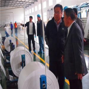 Plastic Bag, PP Woven Bag, Rice Sack, Flour Sack
