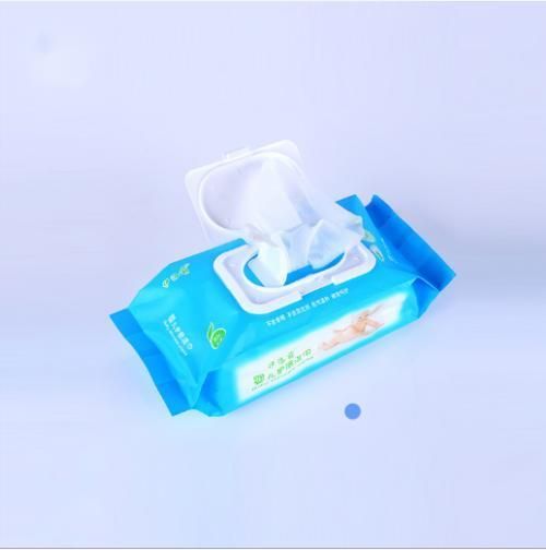 Custom-Made Pinted Baby Wipes Bag Removable Organ Bag with Lid Soft Wet Wipes Composite Transparent Plastic Bag