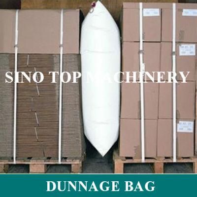 Dunnage Air Bag with Polywoven Inside