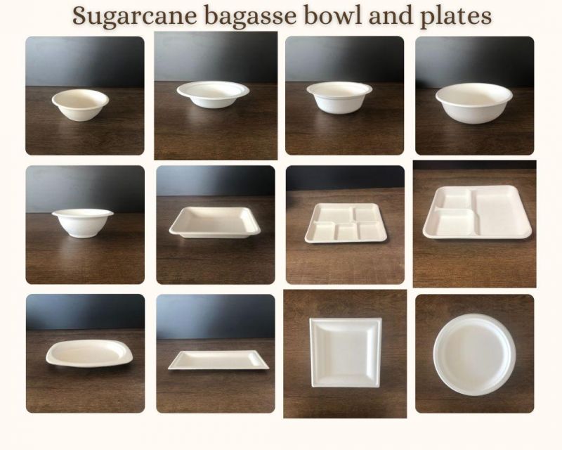 Sugarcane Fibers Bagasse Compostable Take out Food Containers