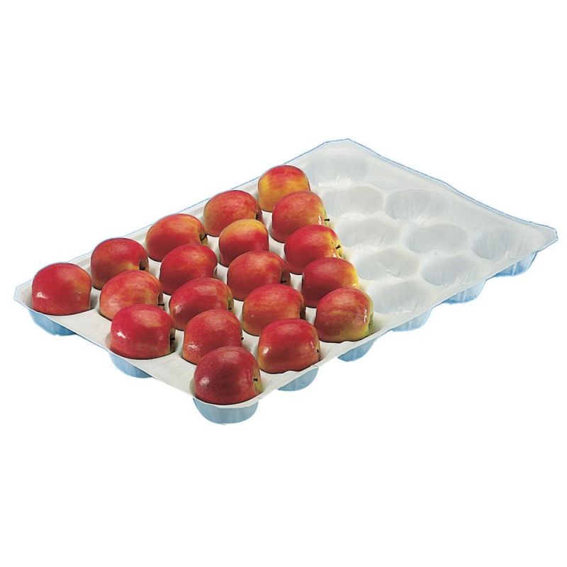 White Various Use Disposable PLA Foaming Tray