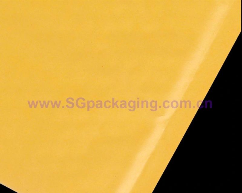 Customized Kraft Paper Mailer Bags with Pad for Retailer