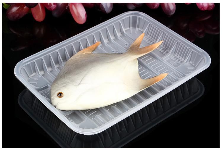 PP frozen food tray/beef tray/fish tray in supermarket or storage