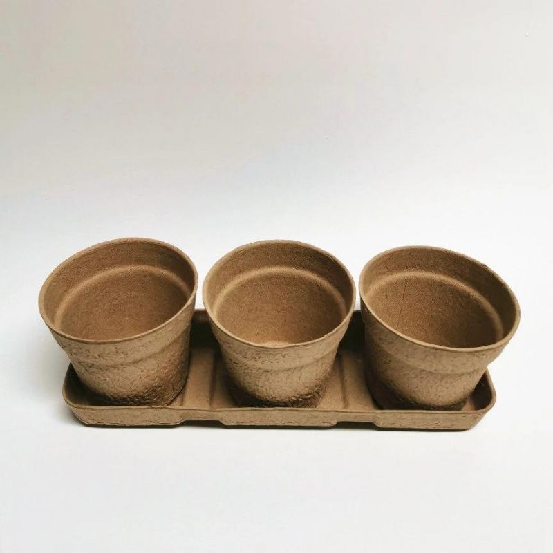 Biodegradable Paper Plant Cup Pulp Gardening Plant Pot Seedling Germination Seed Flower Cup with Pulp Base