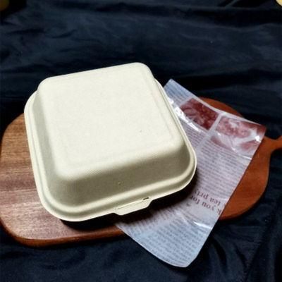 Disposable Biodegradable Sugarcane Bagasse Pulp Paper Food Packaging Container Box