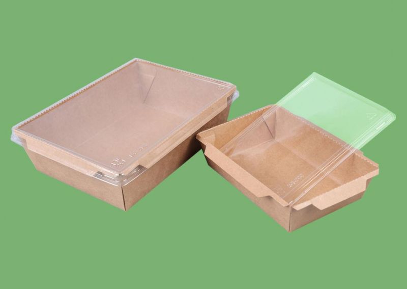 Eco Paper Kraft Sushi Cake Box Disposable Food Container with Lid