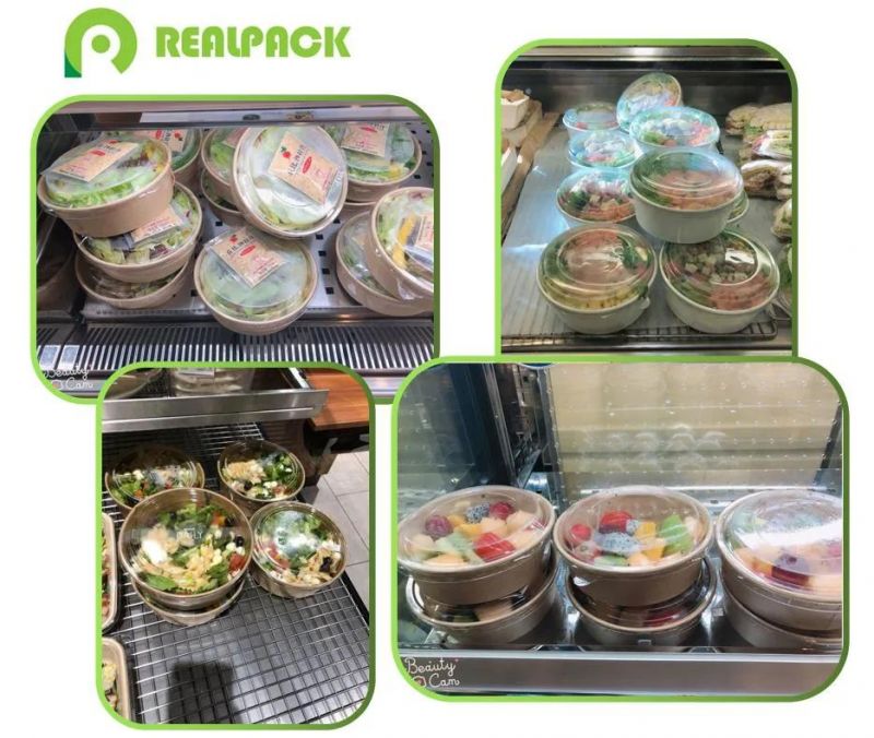 Disposable Compostable Custom Printing Paper Salad Bowl with Pet/PP Lid