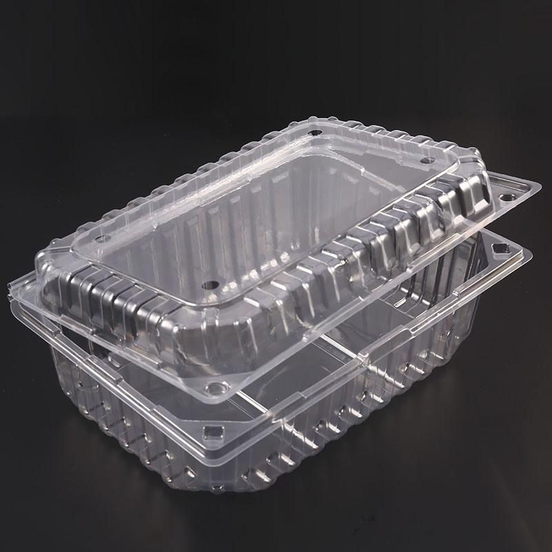 Eco-friendly Health Clear Plastic PET Blister Disposable Food Packaging Container Box for fruit