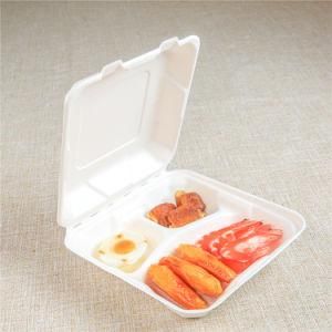 Sustainable Biodegradable Disposable 8 Inch Hinged Container Food Packaging