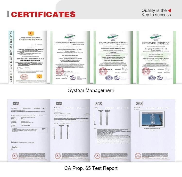 Hoson New Product Stock Mould Transparent Lead Free Glass Custom 500ml 700ml 750ml Glass Bottle for Wine