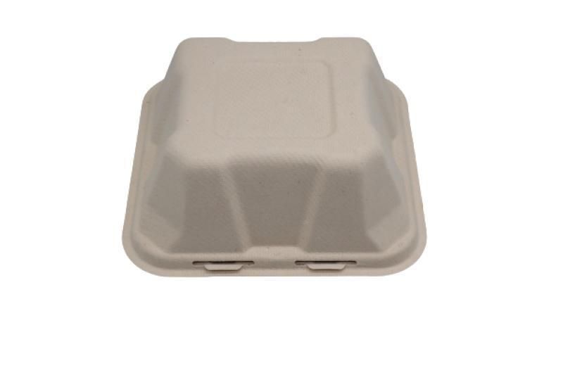 100% Compostable Sugarcane Bagasse Square Shape Food Packaging Box