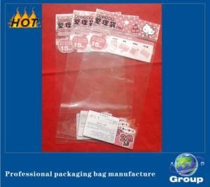BOPP Header Gift Package Bag (ASP-060)