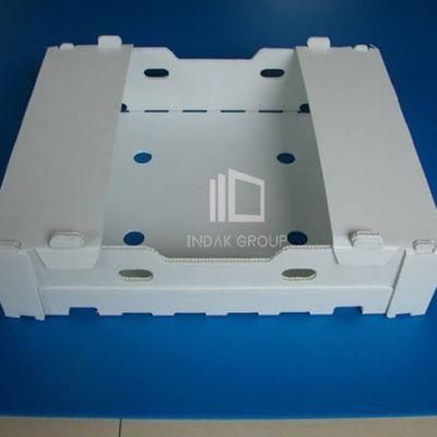 Customized Polypropylene Hollow Sheet Box