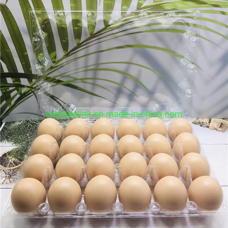 Plastic Egg Packing Container Plastic Packaging with Egg Tray