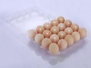 High PVC Tray Blister Package Egg Tray 6 9 12 20 30 Holes Clear Eggs Tray for Sales