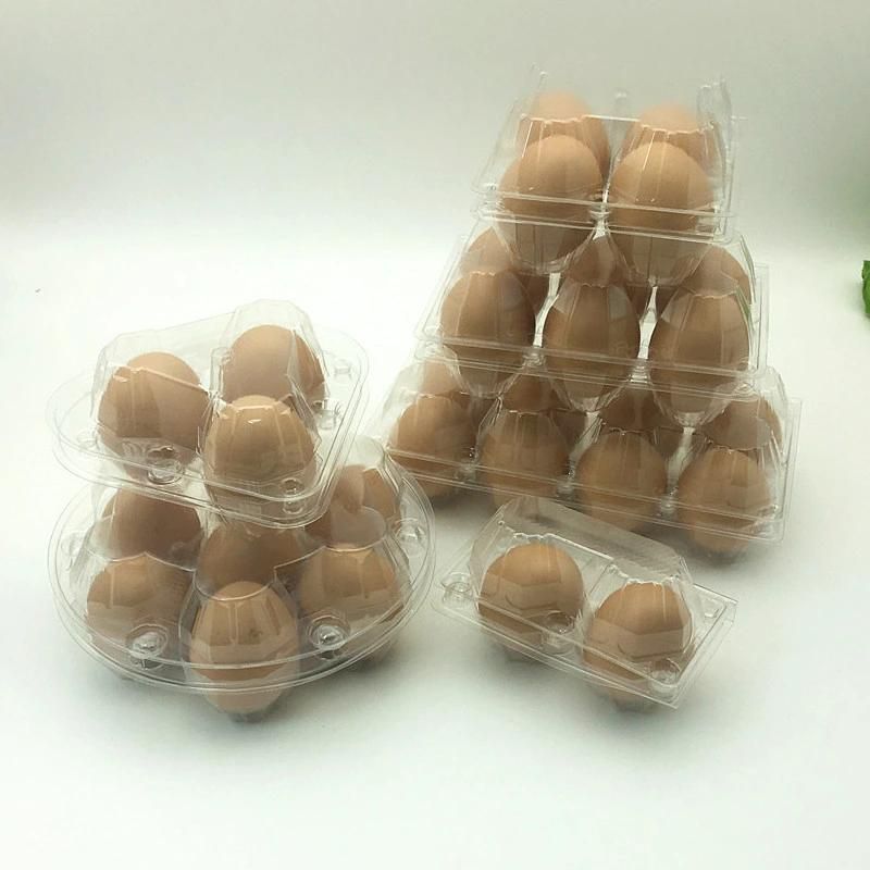Pet Disposable Plastic Egg Tray Packaging