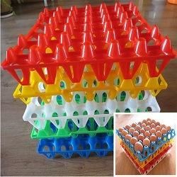 Plastic 30s Egg Tray/Egg Box