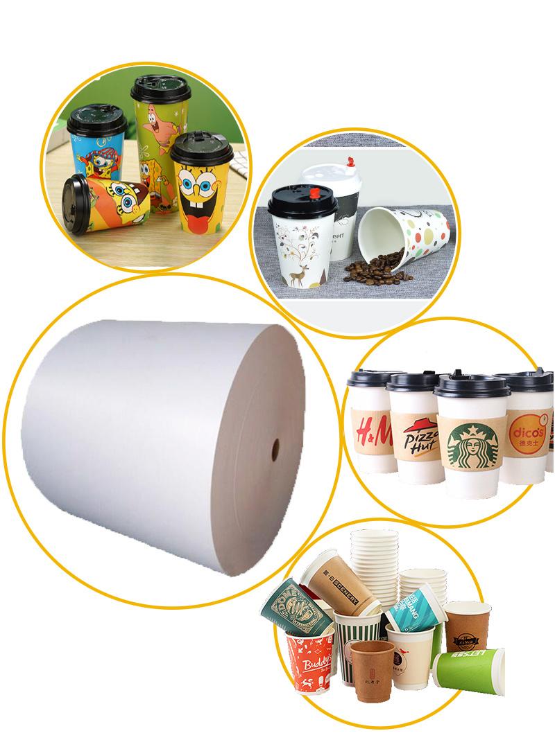 Two Sides PE/PLA Coated Paper for Drier Sachet Bag