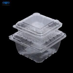 Disposable Clear Take Away Salad Packing Box to Go Food Grade Pet Plastic Package Box for Salad