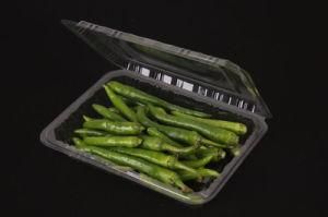 Plastic Transparent Box Disposable Pet Food Container