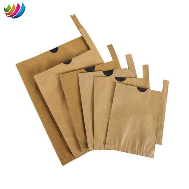 China Manufacturer Mango Paper Cover Growing Protection Paper Bag