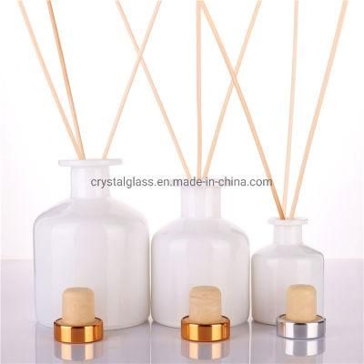 Customized 50m Big Belly Clear Empty Glass Reed Diffuser Bottle for Aroma Fragrance