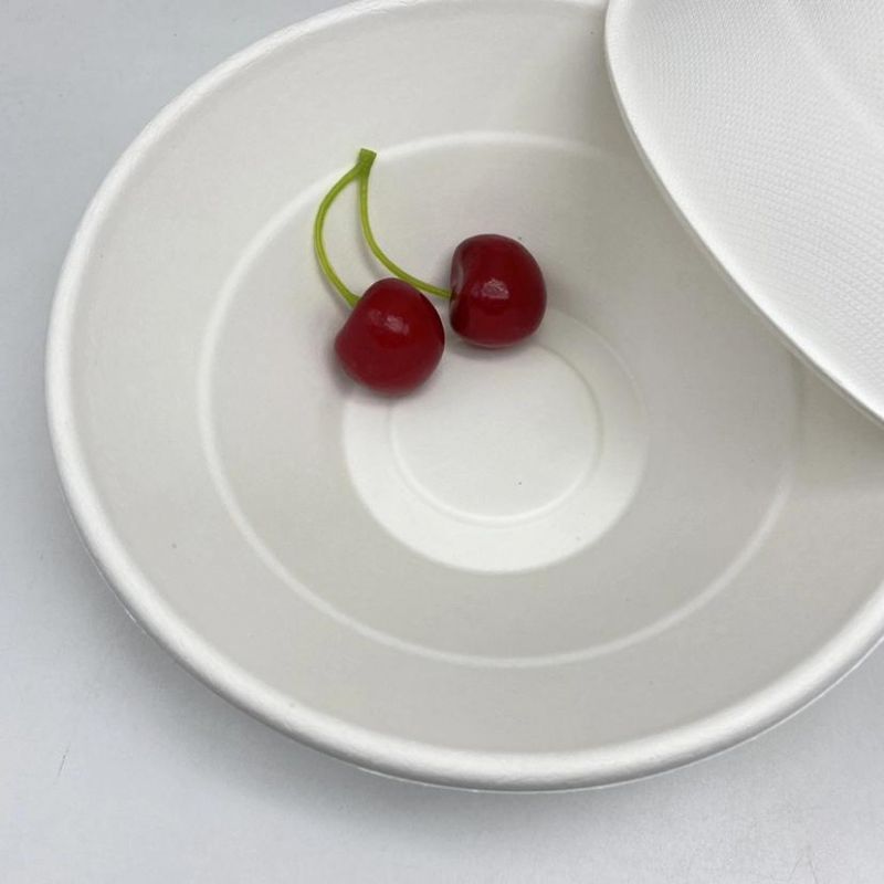 Biodegradable Sugarcane Bagasse Salad Bowl