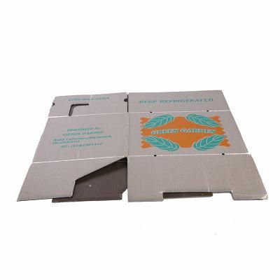 Custom Color Printing White Corrugated Cardboard Carton Mailer Shipping Mail Box