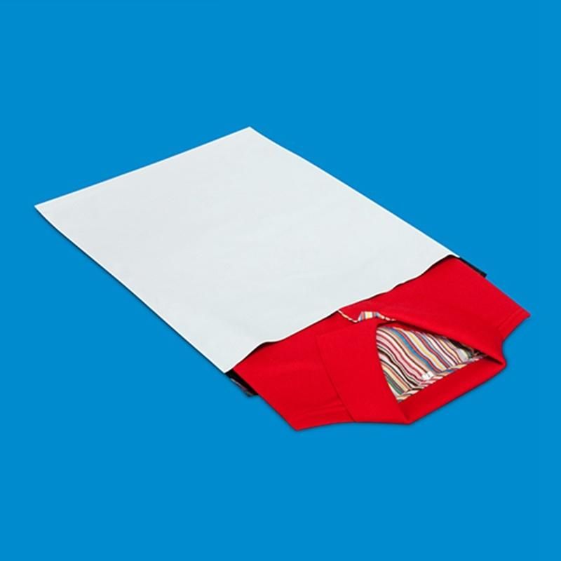 Hot Sale Self Adhesive Courier Mailing Bag (PM01-2)