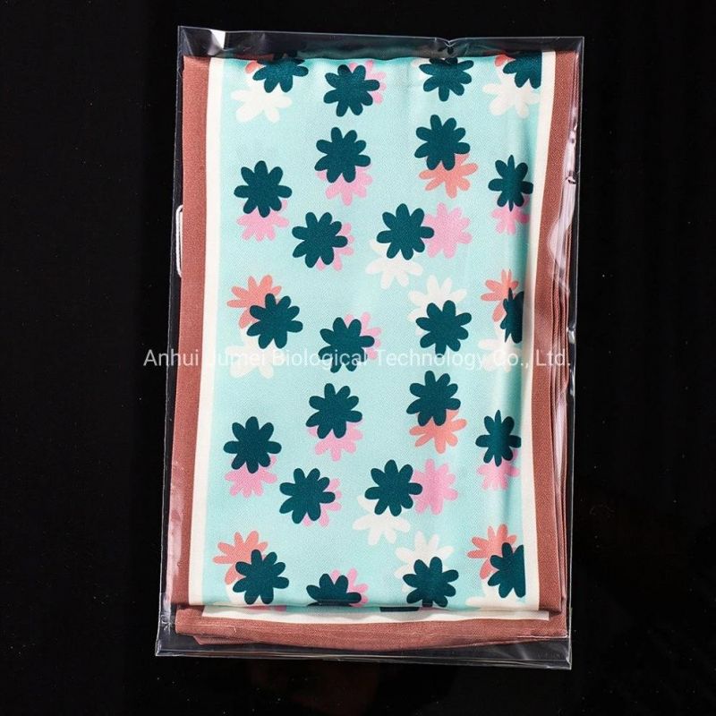 Biodegradable Garment Bags PLA Pbat Compostable Garment Packaging Bags