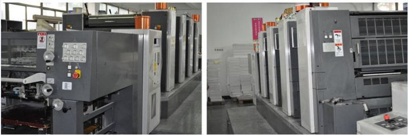Professional Manufacturer Custom Printing PVC Hangtag