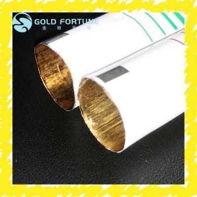 Paint Aluminum Plastic Laminated Tube Packing with Screw on Cap