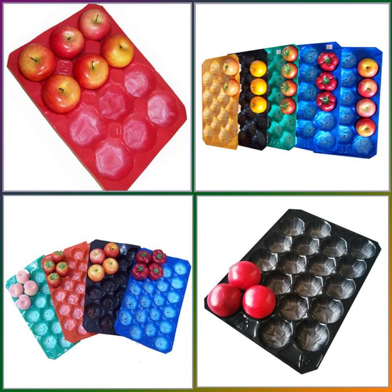 White Various Use Disposable PLA Foaming Tray