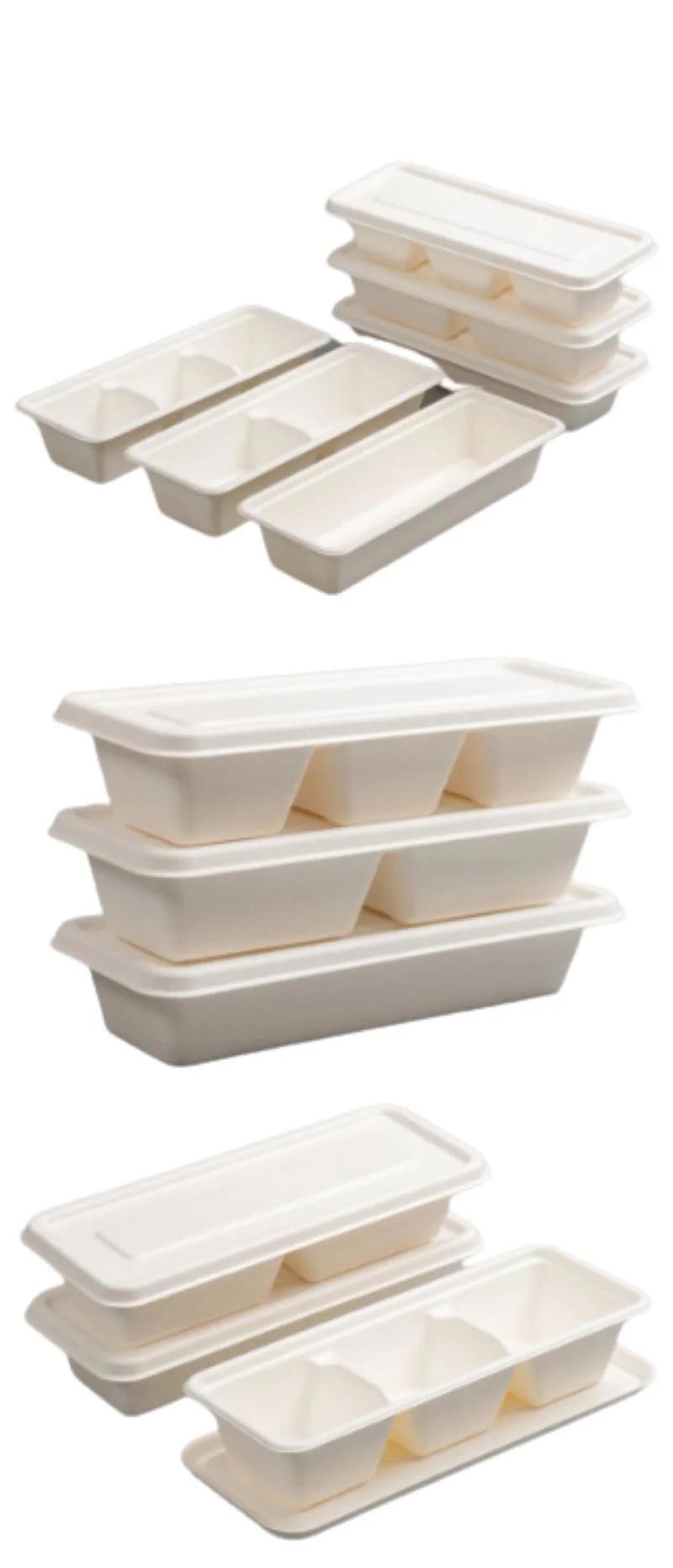 Biodegradable Food Container Set Lunch Takeaway Hot Fast Food Packaging