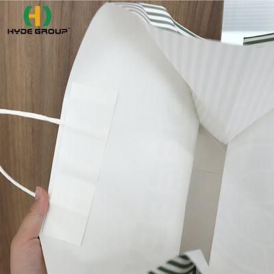 Green Food Paper Bags Custom Recycle Luxury Paper Shopping Bag for Shoe Packing