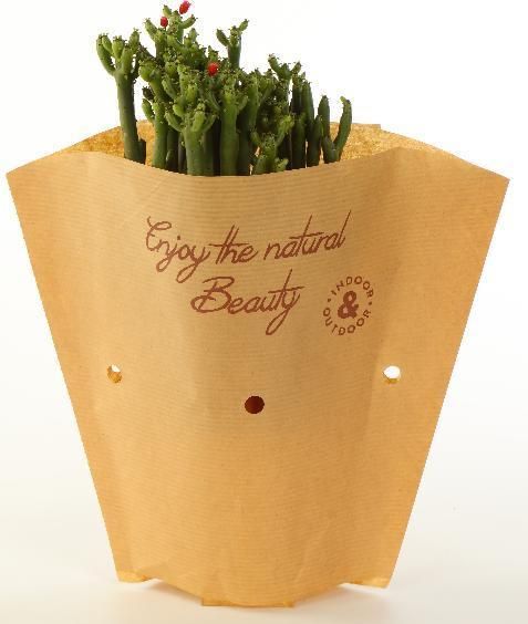 White Paper Bags FSC Kraft Paper Wholesale Paper Merchandise Bags Custom Printed Paper Bags Paper Bag Supplier Paper Bags Wholesale Brown Paper Bag